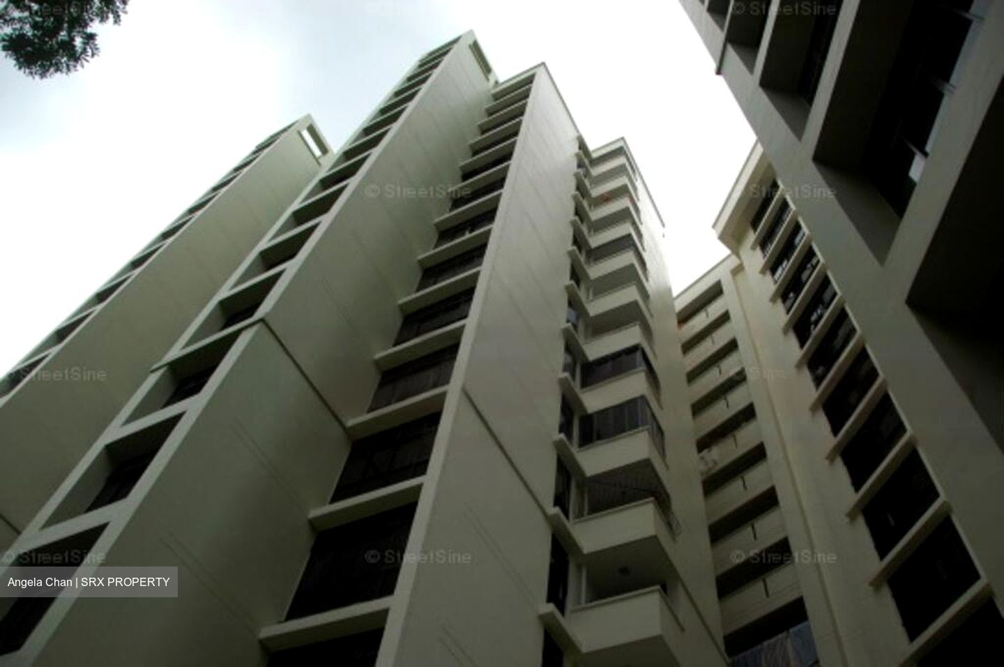 Blk 472 Segar Gardens (Bukit Panjang), HDB Executive #461708021